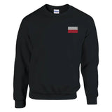 Sweat-shirt drapeau de la pologne en broderie - pixelformaflag