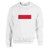 Sweat-shirt drapeau de la pologne - pixelformaflag