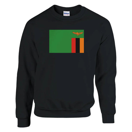 Sweat-shirt drapeau zambie coton mélangé doux brodé