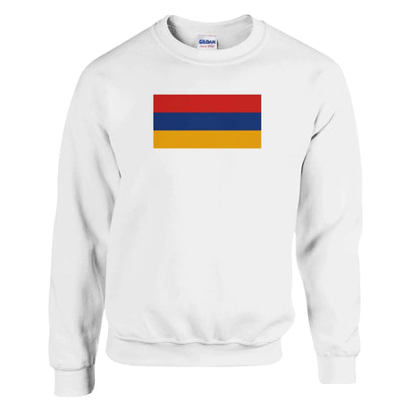 Sweat-shirt drapeau arménie coton mélangé broderie