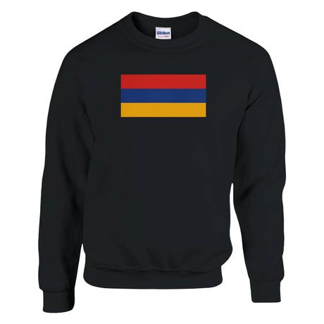 Sweat-shirt drapeau arménie coton mélangé broderie
