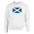Sweat-shirt écosse coton mélangé brodé couleur bleue