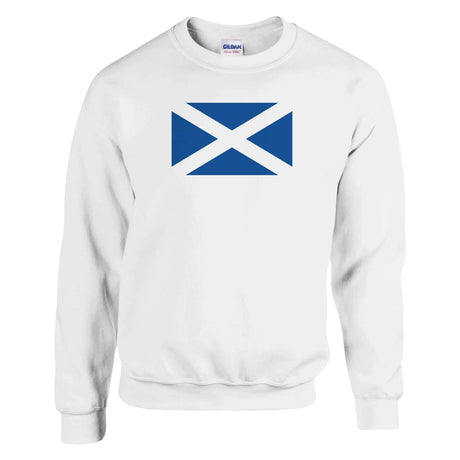 Sweat-shirt écosse coton mélangé brodé couleur bleue