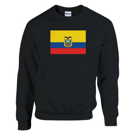 Sweat-shirt drapeau équateur coton mélangé brodé doux