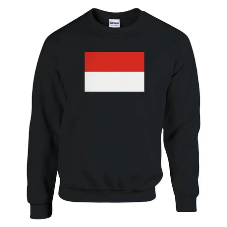Sweat-shirt drapeau de l’indonésie - pixelformaflag