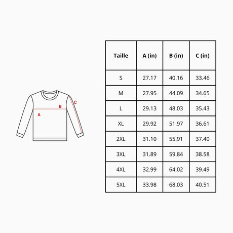 Sweat-shirt drapeau de l’iran - pixelformaflag