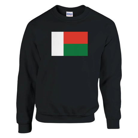 Sweat-shirt drapeau madagascar coton mélangé imprimé doux