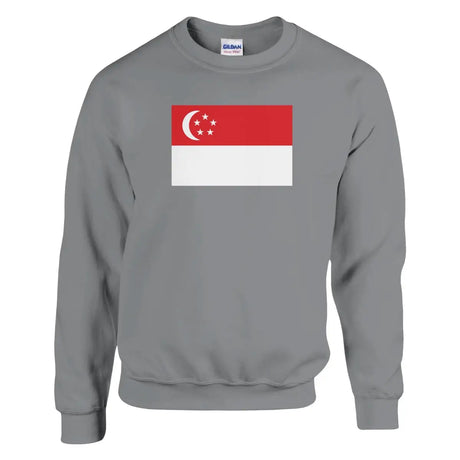 Sweat-shirt Drapeau de Singapour - Pixelforma 