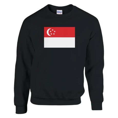 Sweat-shirt Drapeau de Singapour - Pixelforma 