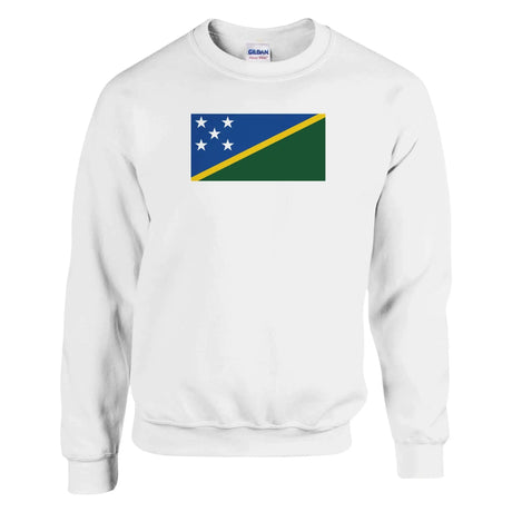 Sweat-shirt drapeau salomon coton mélangé brodé doux