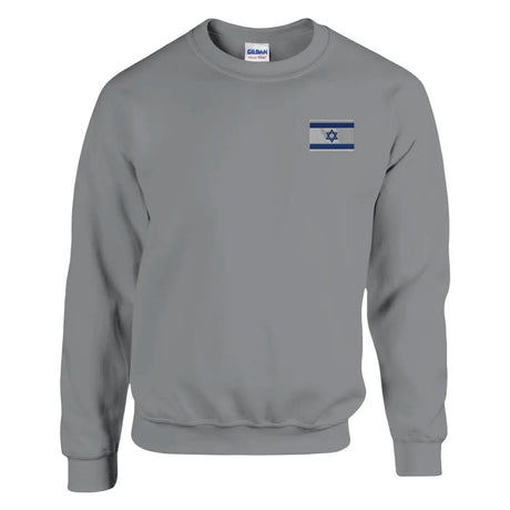 Sweat-shirt drapeau d’israël en broderie - pixelformaflag