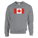 Sweat-shirt drapeau canada coton mélangé broderie douce