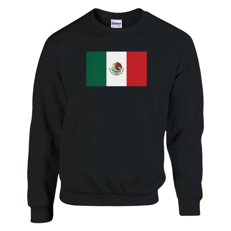 Sweat-shirt Drapeau du Mexique - Pixelforma 