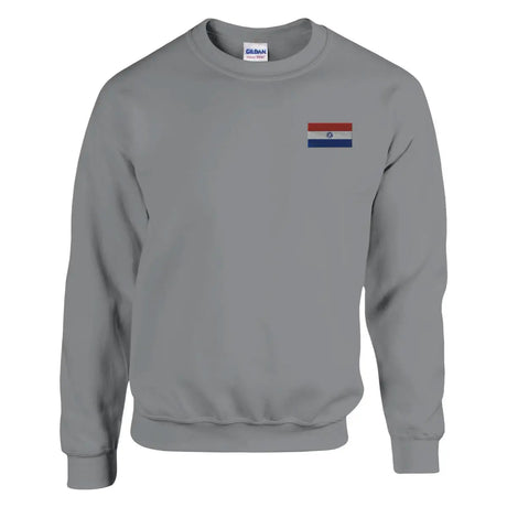 Sweat-shirt drapeau du paraguay en broderie - pixelformaflag