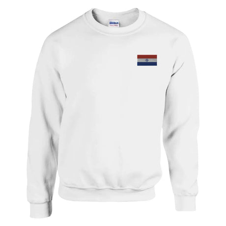 Sweat-shirt drapeau du paraguay en broderie - pixelformaflag