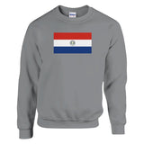 Sweat-shirt drapeau du paraguay - pixelformaflag