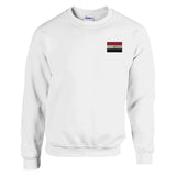 Sweat-shirt drapeau égypte broderie couleur coton mélangé