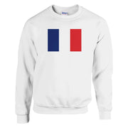 Sweat-shirt drapeau france coton mélangé brodé confortable