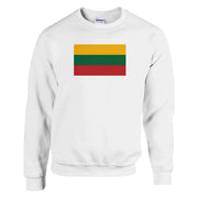 Sweat-shirt drapeau lituanie coton mélangé broderie douce