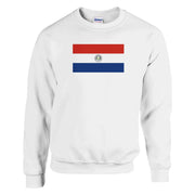 Sweat-shirt drapeau paraguay coton mélangé confort brodé