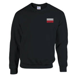 Sweat-shirt drapeau pologne broderie couleur coton mélangé