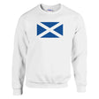 Sweat-shirt écosse coton mélangé brodé couleur bleue