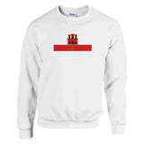 Sweat-shirt gibraltar brodé coton mélangé couleur douce