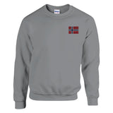 Sweat-shirt norvège broderie couleur coton mélangé doux