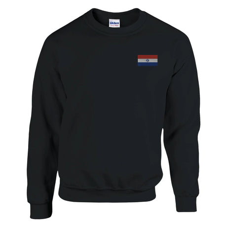 Sweat-shirt paraguay broderie couleur en mélange doux