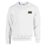 Sweat-shirt pays de galles broderie couleur coton mélangé