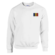 Sweat-shirt roumanie broderie couleur coton mélangé doux