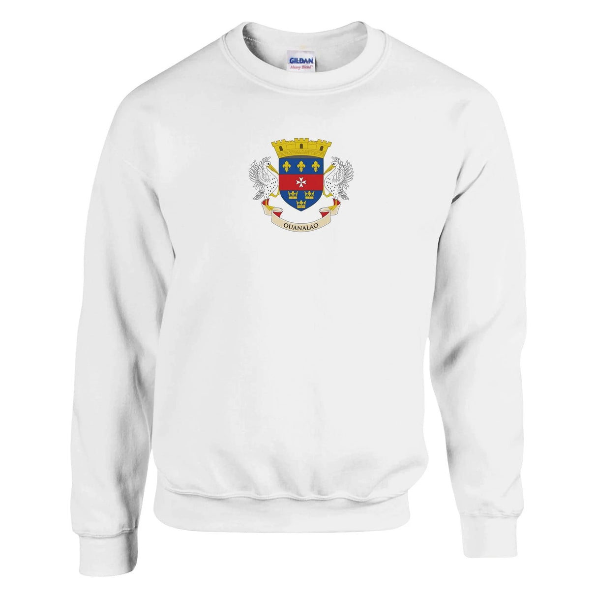 Sweat-shirt saint-barthélemy coton mélangé brodé doux