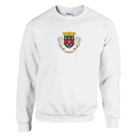 Sweat-shirt saint-barthélemy coton mélangé brodé doux