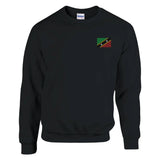 Sweat-shirt saint-christophe-et-niévès broderie couleur coton