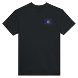 T-shirt Drapeau du Belize en broderie - Pixelforma