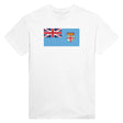 T-shirt drapeau fidji coton mélangé brodé manches longues