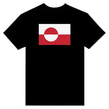 T-shirt drapeau groenland brodé coton mélangé élégant
