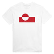 T-shirt drapeau groenland brodé coton mélangé élégant
