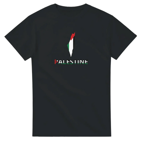 T-shirt drapeau palestine en carte - pixelforma