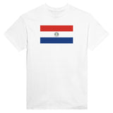 T-shirt drapeau paraguay brodé en coton mélangé élégant