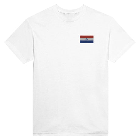 T-shirt drapeau paraguay broderie couleur coton épais