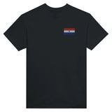T-shirt drapeau paraguay broderie couleur coton épais