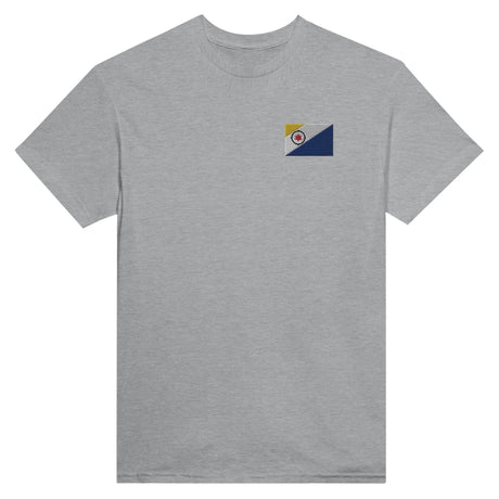 T-shirt drapeau pays-bas broderie couleur coton épais