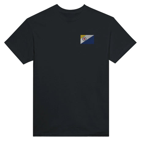 T-shirt drapeau pays-bas broderie couleur coton épais