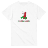 T-shirt drapeau pays de galles en carte - pixelforma