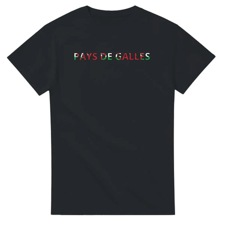 T-shirt Drapeau Pays de Galles en écriture - Pixelforma 