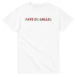 T-shirt drapeau pays de galles en écriture - pixelforma