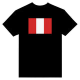 T-shirt drapeau pérou coton mélangé brodé manches longues