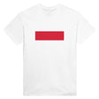 T-shirt drapeau pologne brodé en coton mélangé élégant
