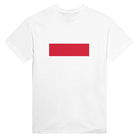 T-shirt drapeau pologne brodé en coton mélangé élégant